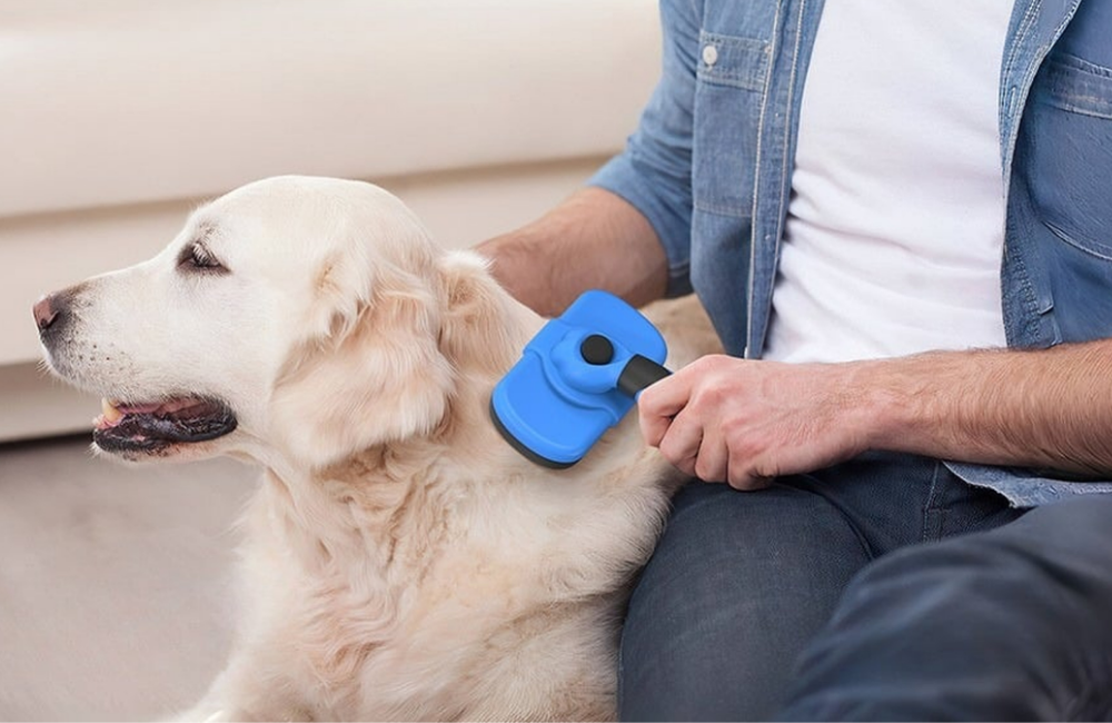 Every Pet Owner Needs a Self-Cleaning Slicker Brush for Easy Grooming