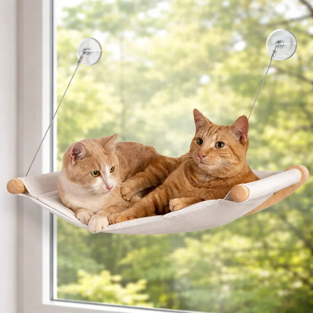cat hammock cat window hammock | My Pet Orbit