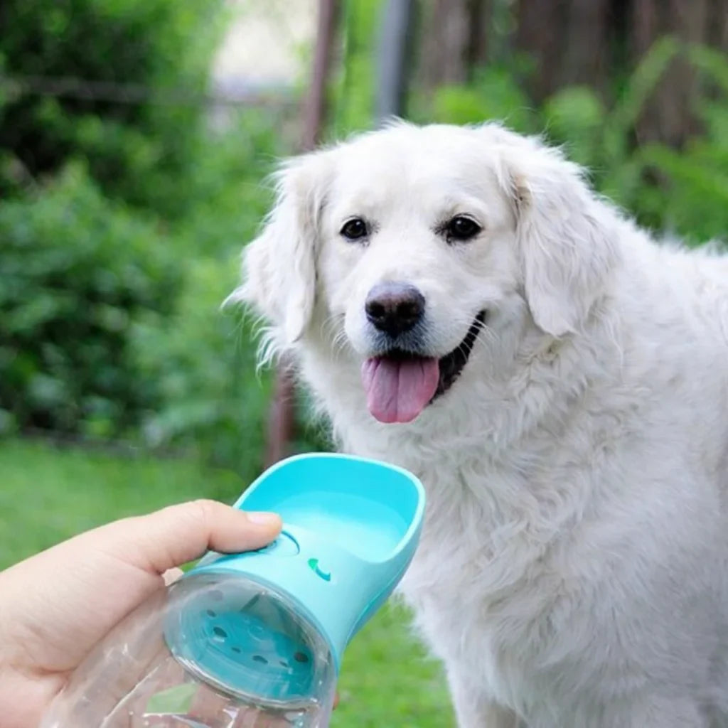 dog water bottle | My Pet Orbit