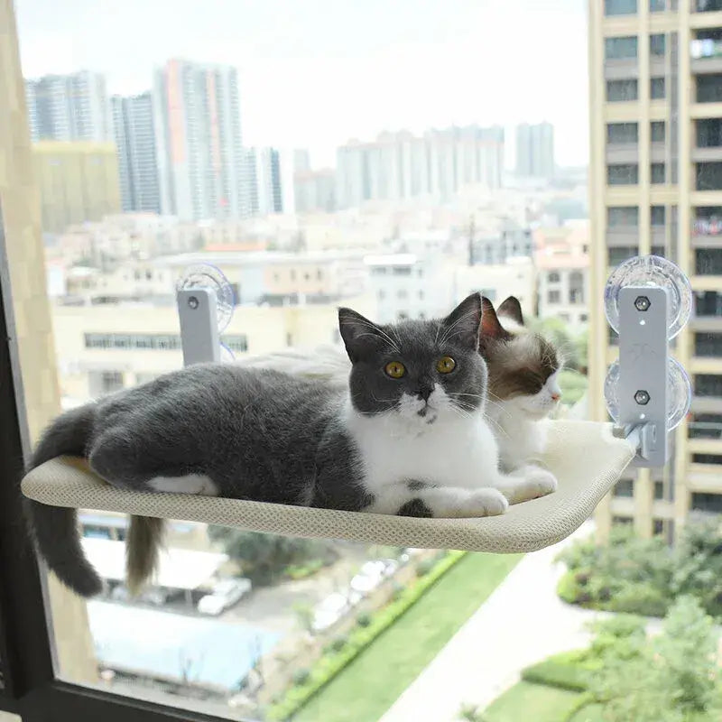 cat hammock