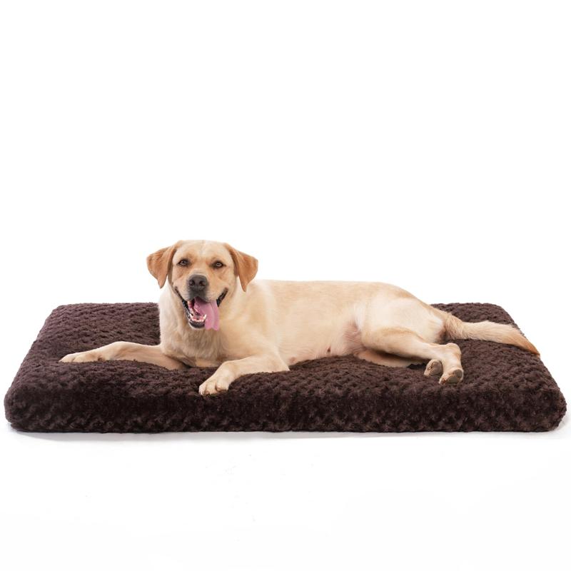 cushioned dog beds