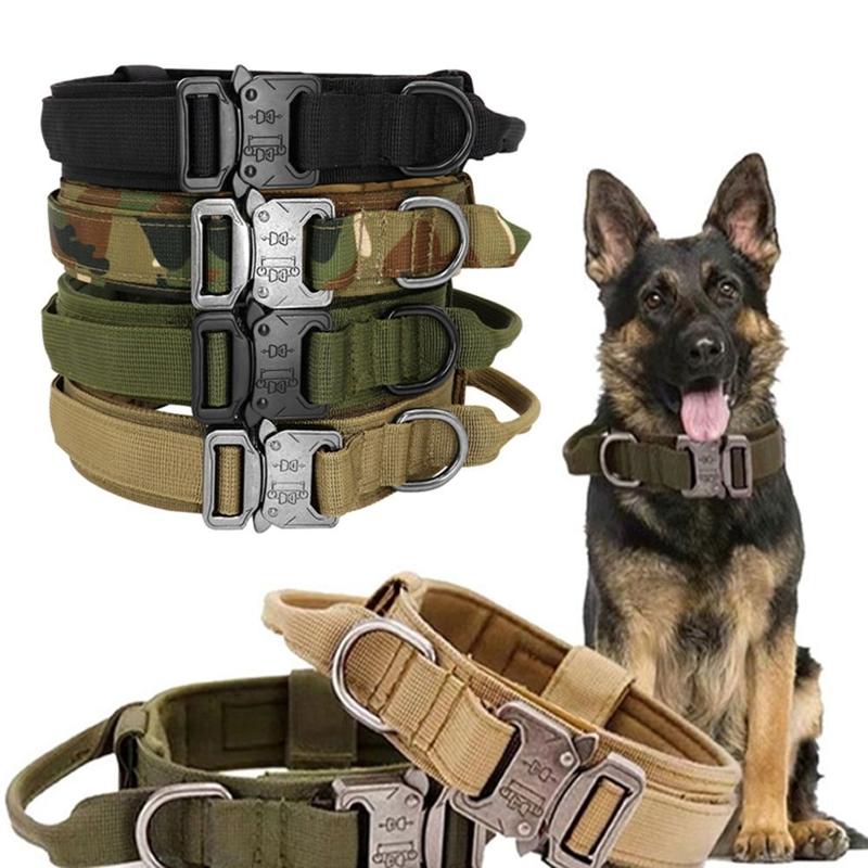 cute dog collar | WoofyPlus