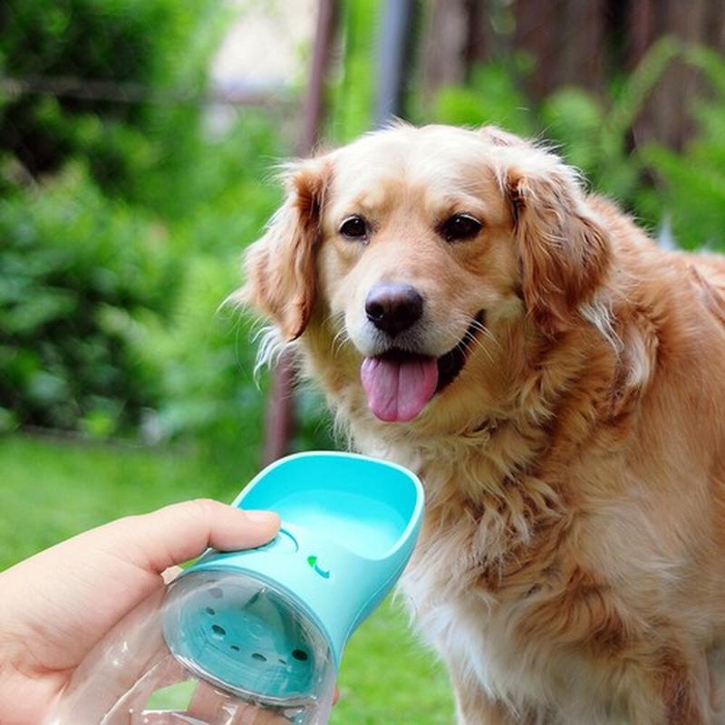 Dog Water Bottle 