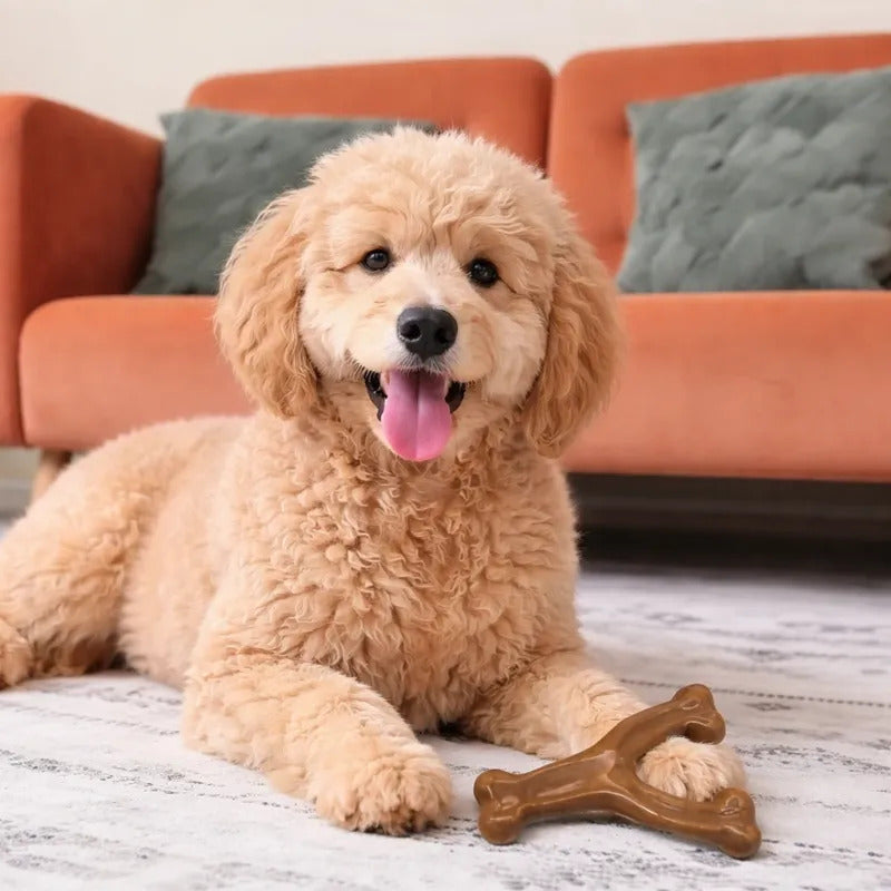 wishbone dog toy