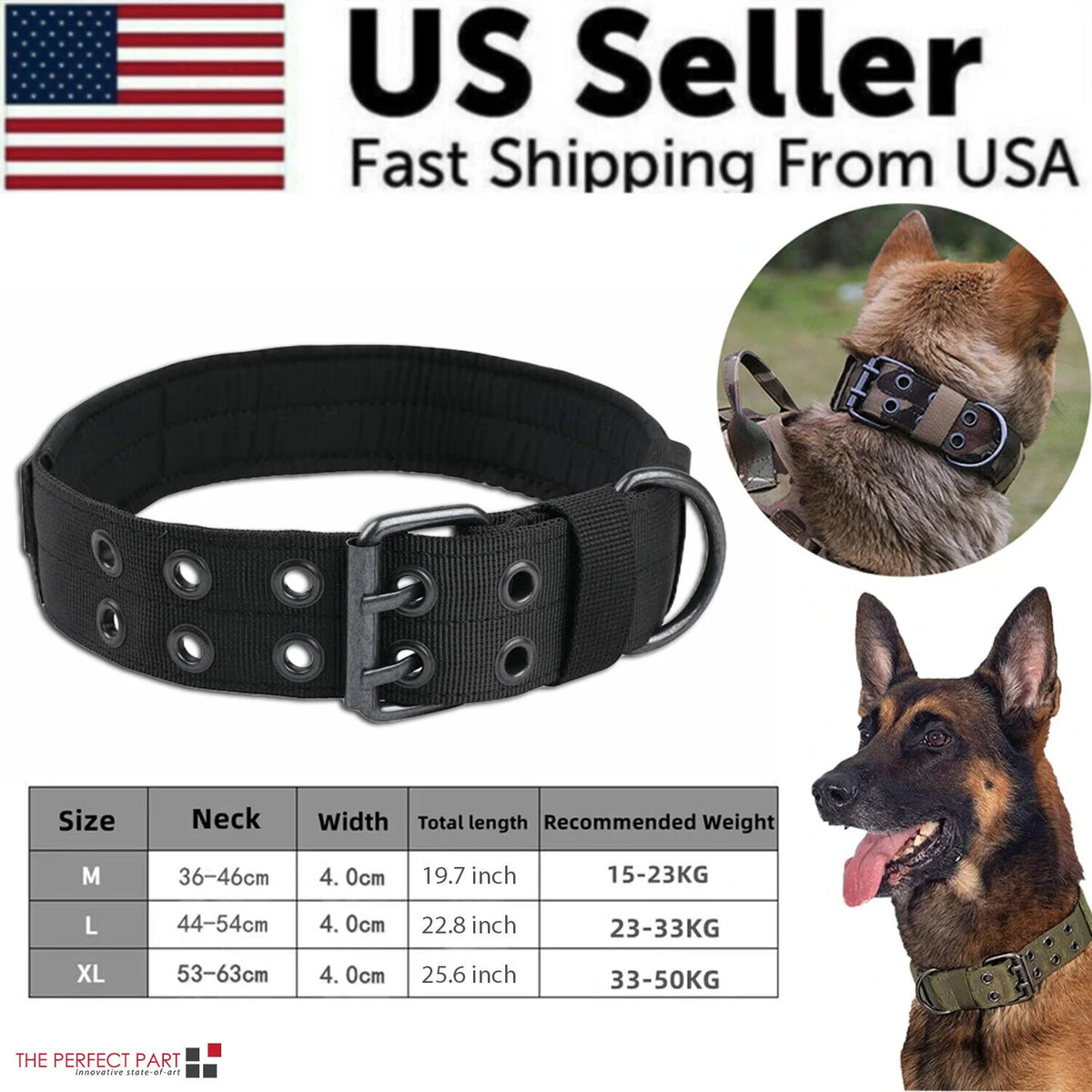 Wide Nylon Dog Collar with Metal Buckle – Neoprene Lined