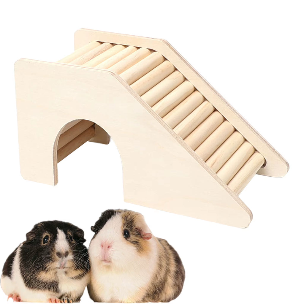 Hamster climbing ladder and hideout – photo 3