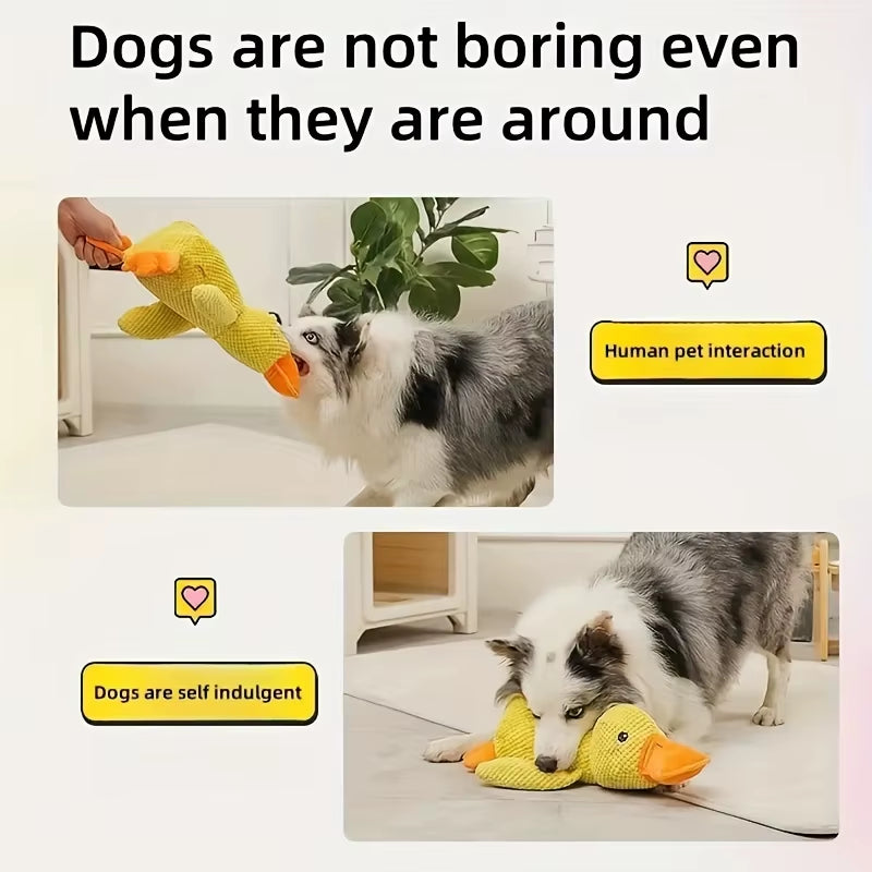 Durable Plush Durable Plush Squeaky Dog Toy | for All Dog Breeds | Plush | Squeaky, Chew Resistant, Interactive | Pet Toy
