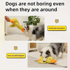 Durable Plush Durable Plush Squeaky Dog Toy | for All Dog Breeds | Plush | Squeaky, Chew Resistant, Interactive | Pet Toy