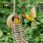 Natural Coconut Hideaway with Hanging Ladder