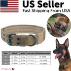 Wide Nylon Dog Collar with Metal Buckle – Neoprene Lined
