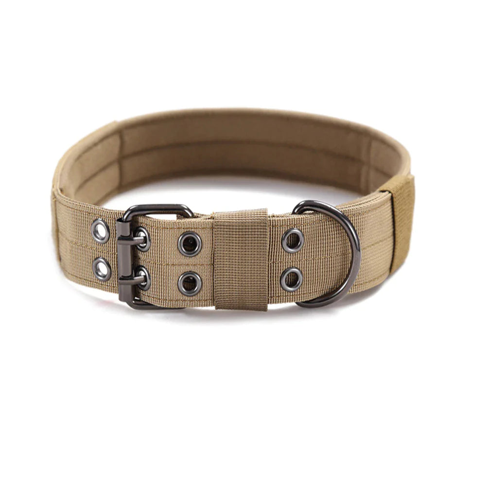 Wide Nylon Dog Collar with Metal Buckle – Neoprene Lined