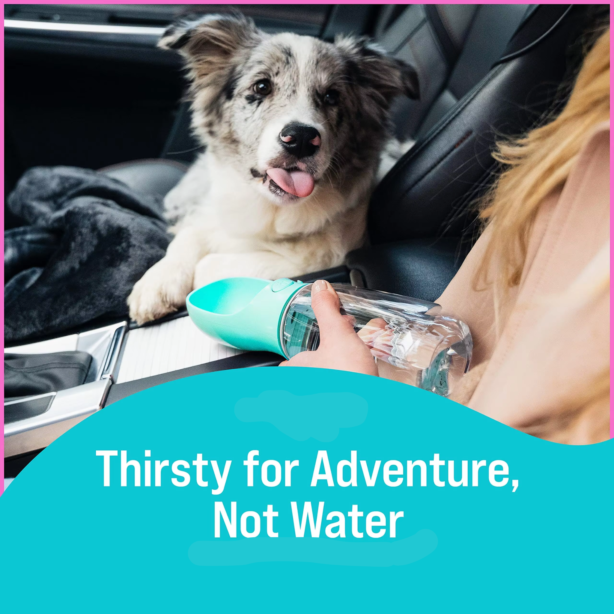 Portable Dog Water Bottle – 19 Oz Leak-Proof Dispenser for Travel & Hiking