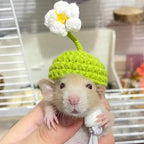 Mini knitted pet hat – photo 3