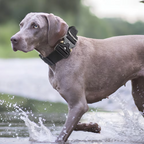 Tactical Dog Collar and Leash Set – Adjustable Military-Style Training Collar for Medium & Large Dogs