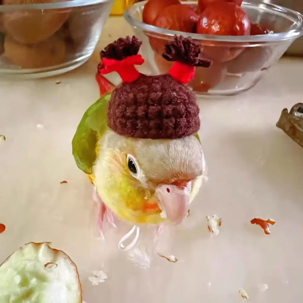 Mini knitted pet hat – photo 15