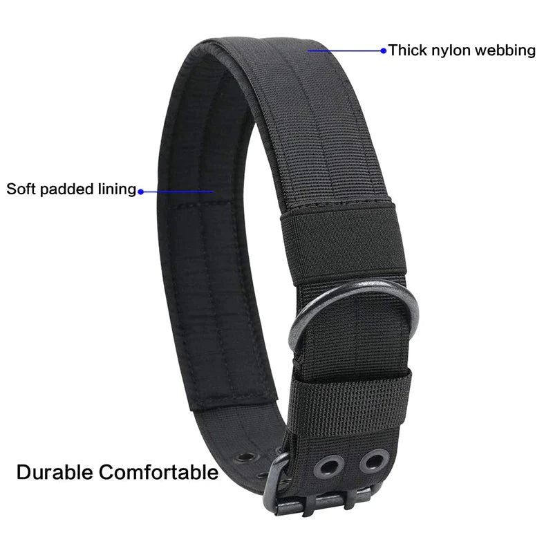 Wide Nylon Dog Collar with Metal Buckle – Neoprene Lined