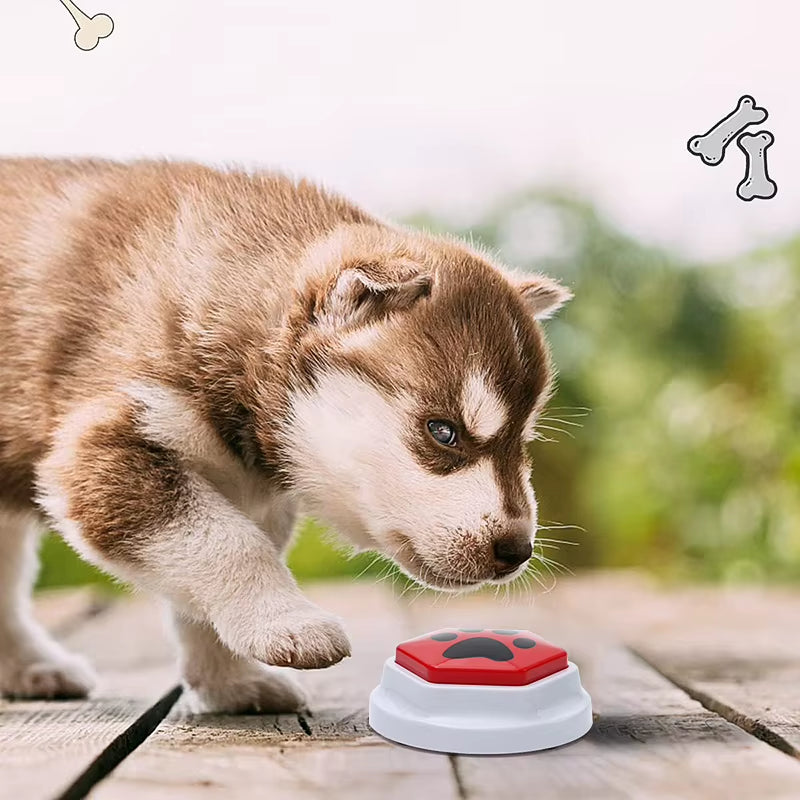 Dog talking buttons – photo 7