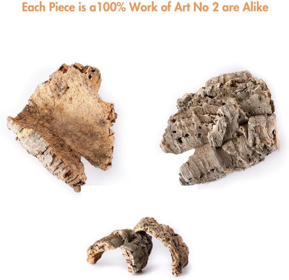 Natural Cork Bark Reptile Habitat Flat – 6–9 in