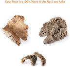 Natural Cork Bark Reptile Habitat Flat – 6–9 in