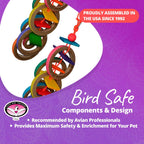 Olympic Rings Hanging Bird Toy – Super Bird Creations SB625
