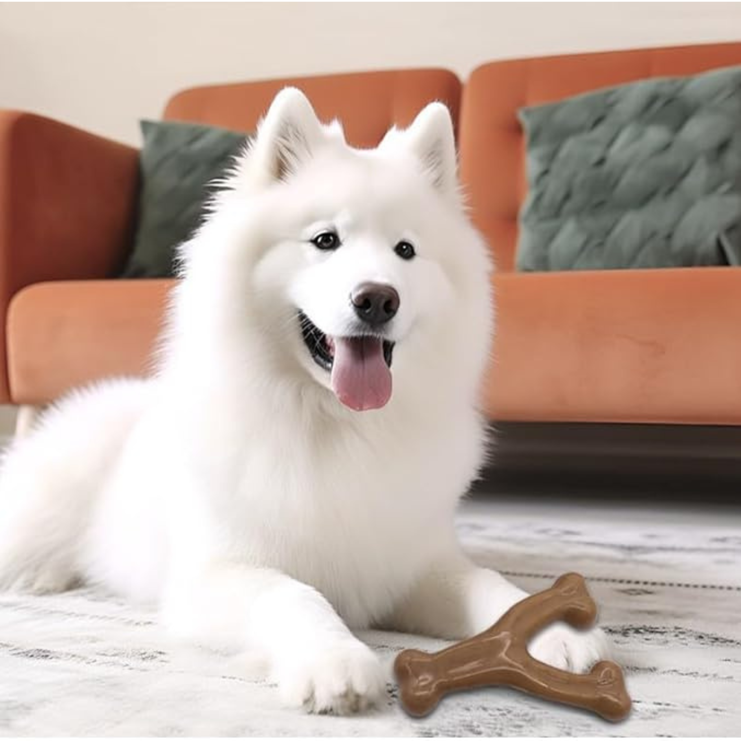 Durable Dog Chew Toy – Wishbone Shape with Real Bacon Flavor