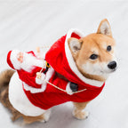 Riding Santa dog costume