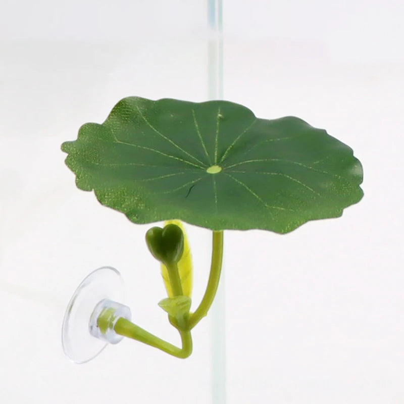 Betta fish leaf hammock – photo 10