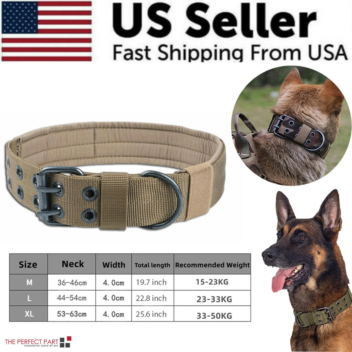 Wide Nylon Dog Collar with Metal Buckle – Neoprene Lined