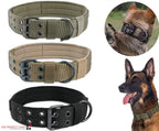 Wide Nylon Dog Collar with Metal Buckle – Neoprene Lined