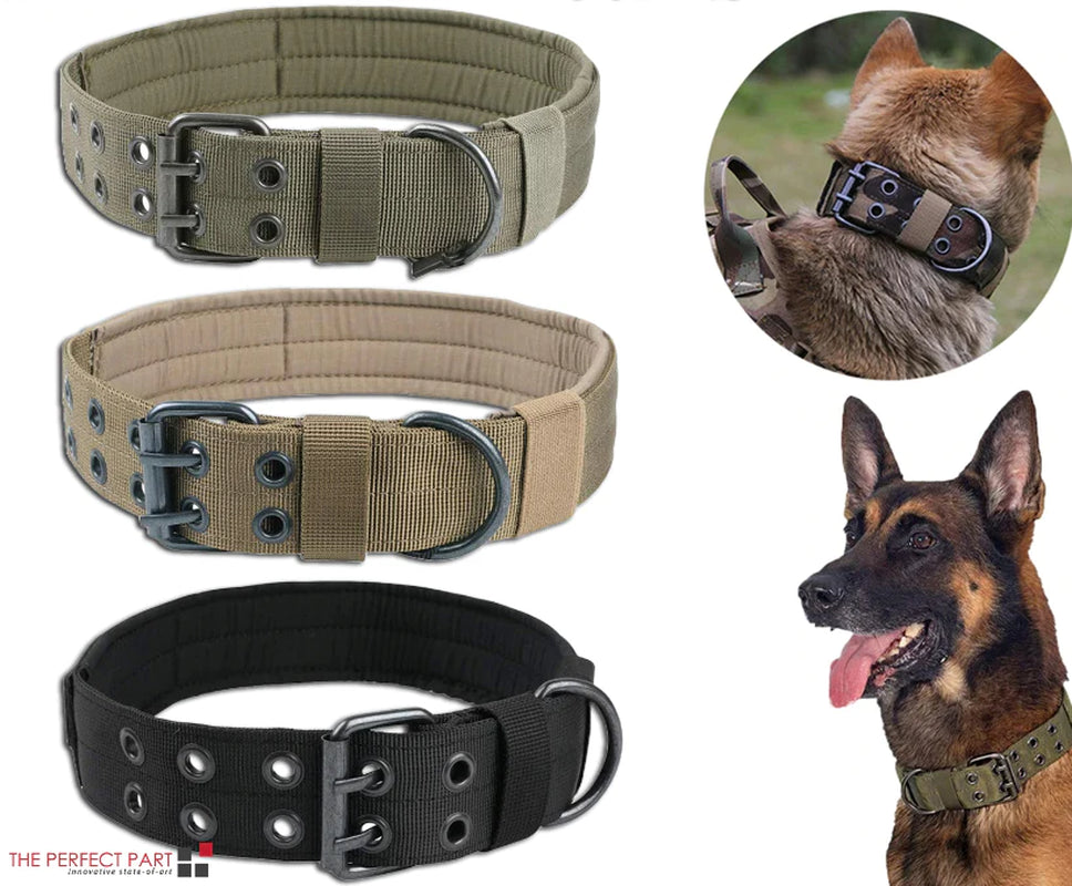 Wide Nylon Dog Collar with Metal Buckle – Neoprene Lined
