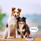 Dog talking buttons – photo 6