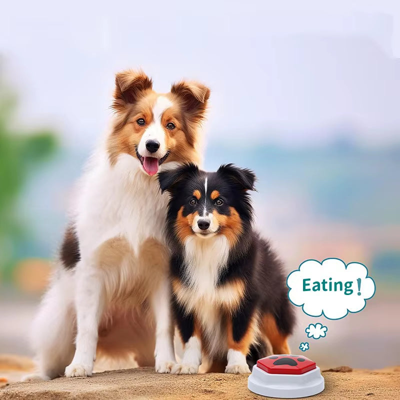 Dog talking buttons – photo 6