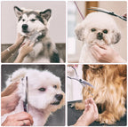 Stainless Steel Pet Grooming Scissors Set