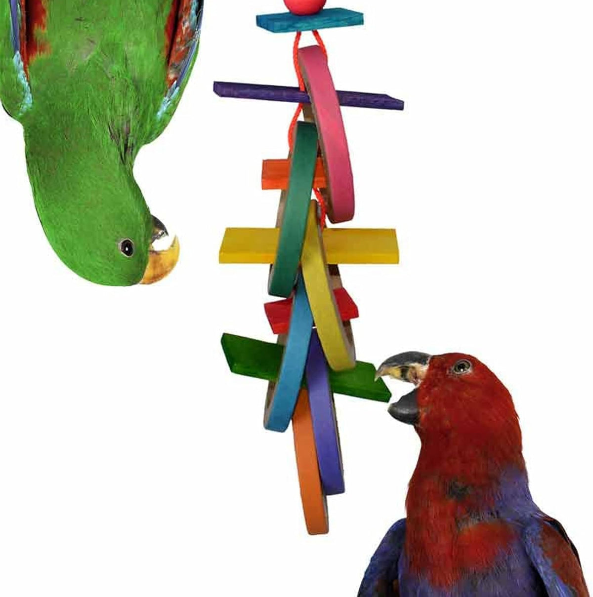 Olympic Rings Hanging Bird Toy – Super Bird Creations SB625