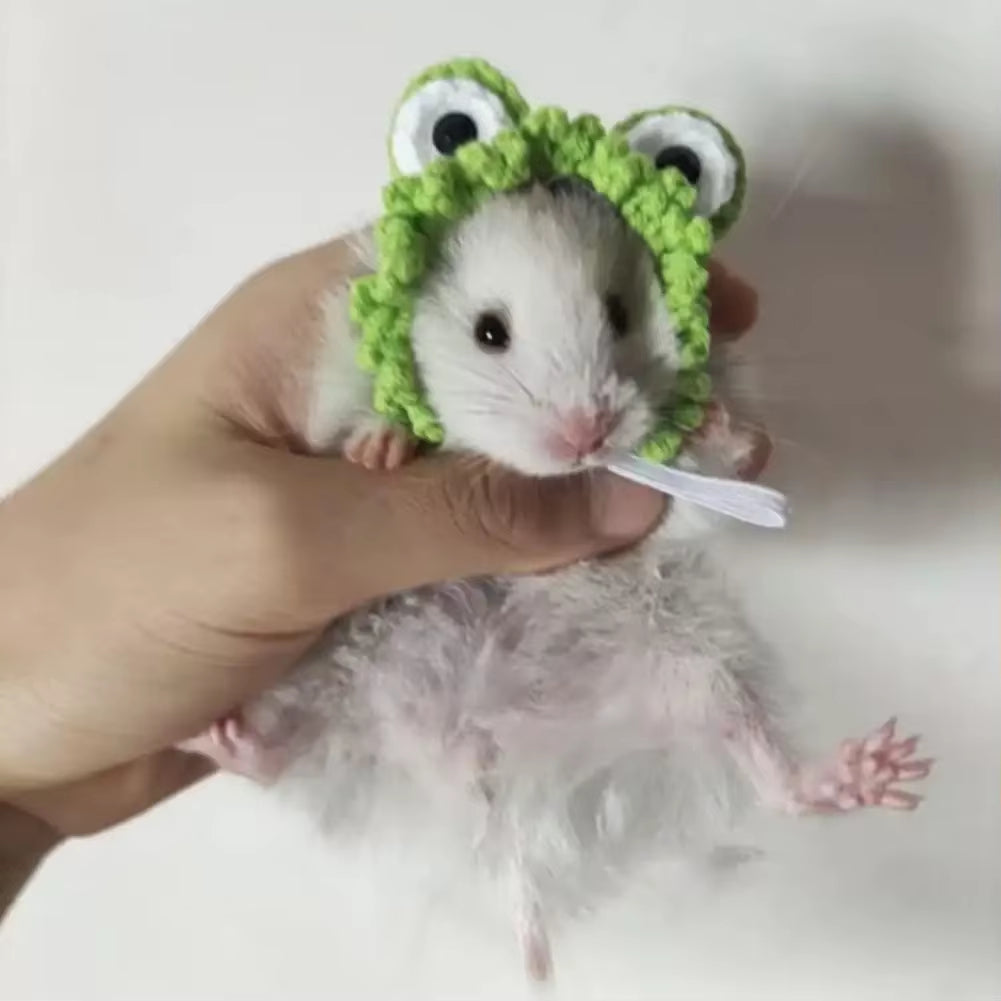 Mini knitted pet hat – photo 14