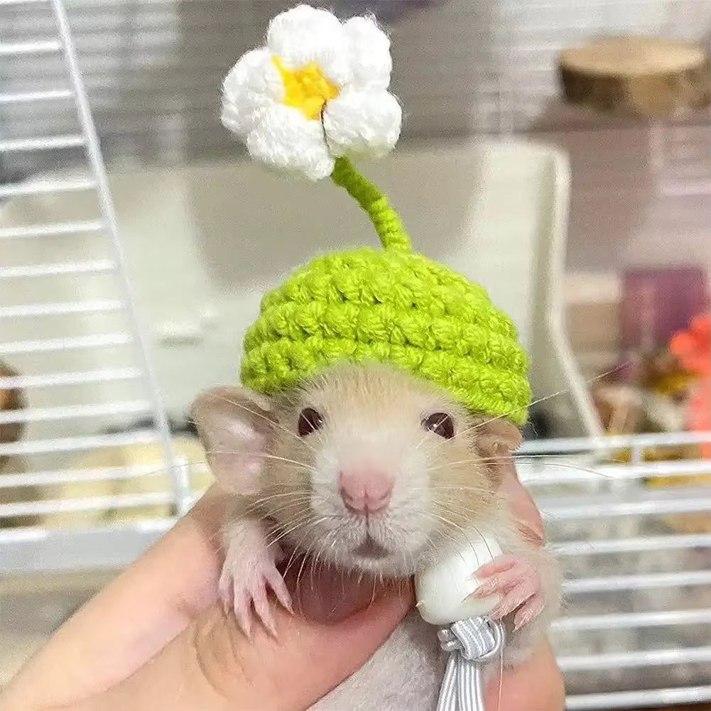 Mini Knitted Bird Hat Cute Handmade Knitted Hat Funny Parrot Headwear Guinea Pig Hamster Accessories Bird Supplies Small Pet Hat