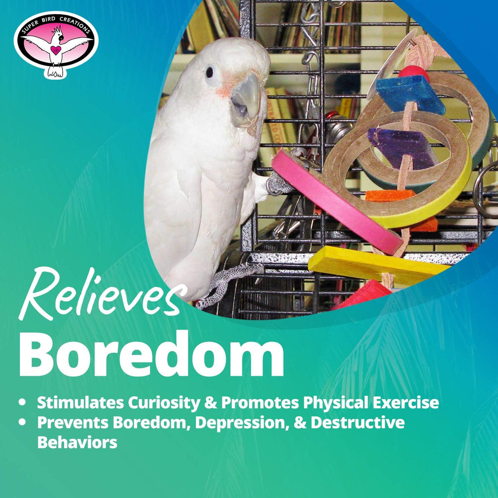 Olympic Rings Hanging Bird Toy – Super Bird Creations SB625
