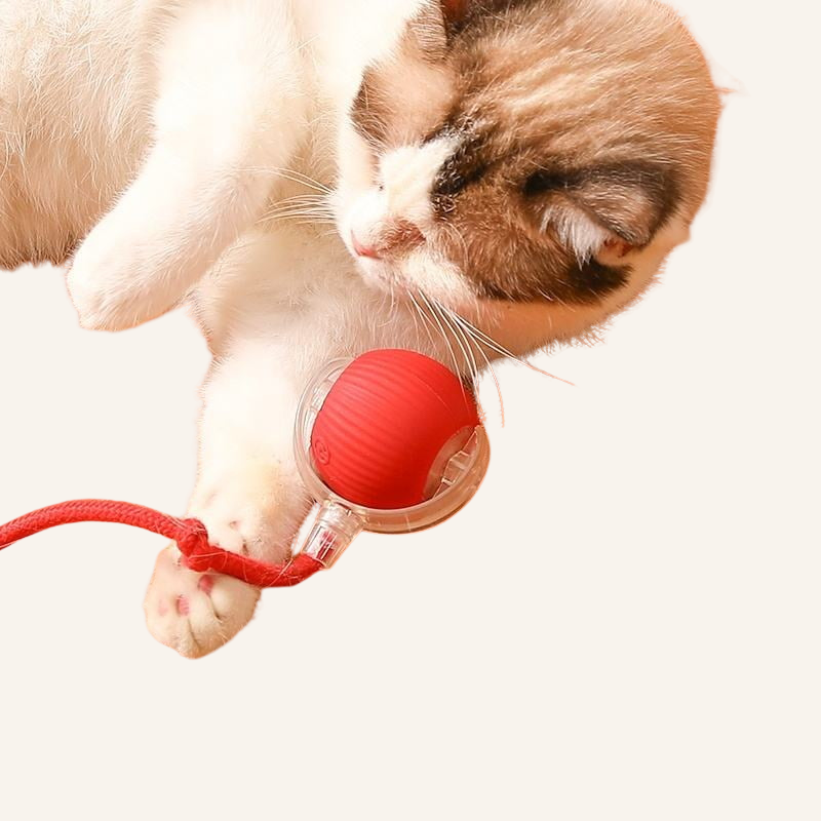 Motion-Activated Electric Cat Toy Ball – Rechargeable Interactive Pet Exercise Toy with Tail