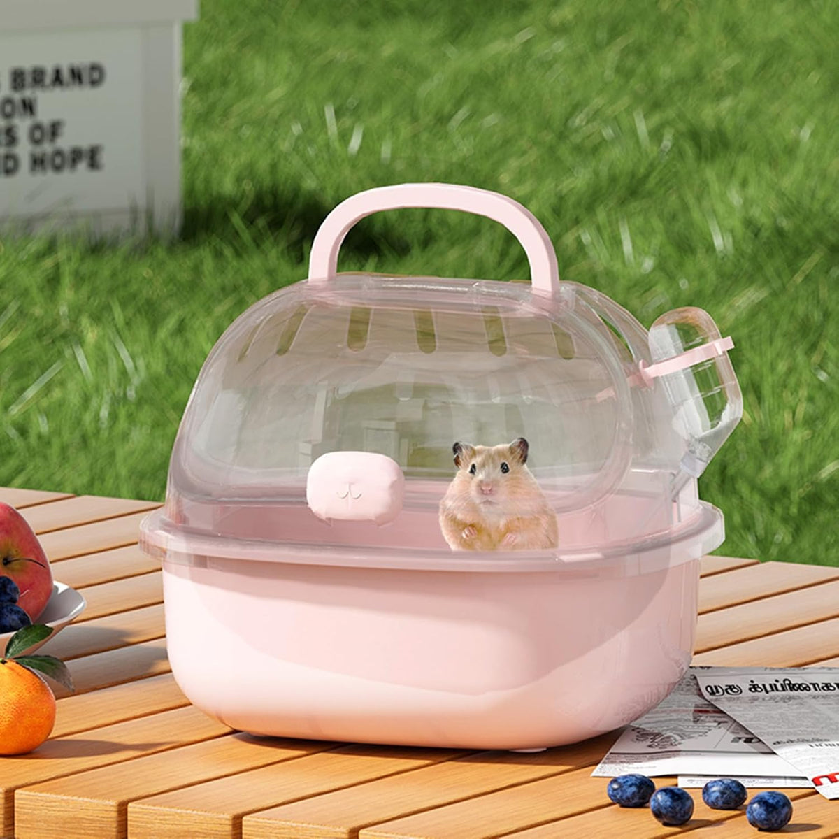 Small Animal Travel Carrier with Water Bottle – 20 × 18 × 16 cm
