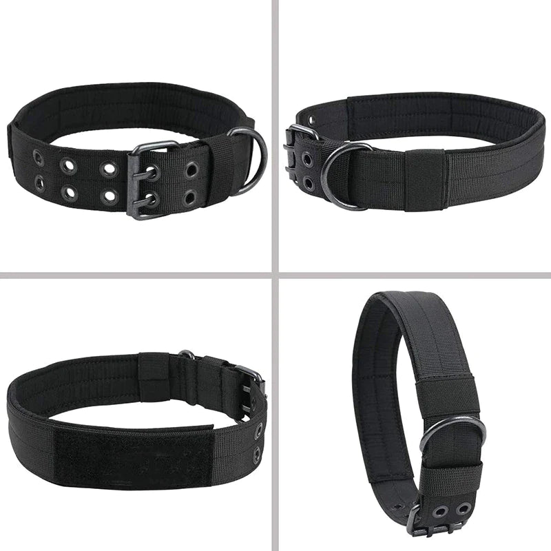 Wide Nylon Dog Collar with Metal Buckle – Neoprene Lined