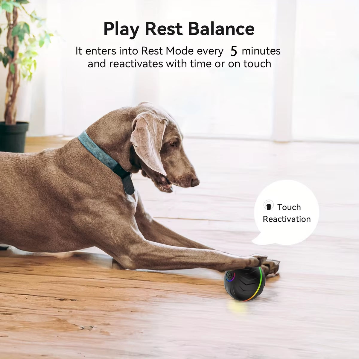 Interactive dog ball – photo 4
