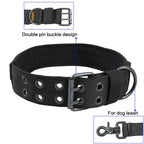 Wide Nylon Dog Collar with Metal Buckle – Neoprene Lined
