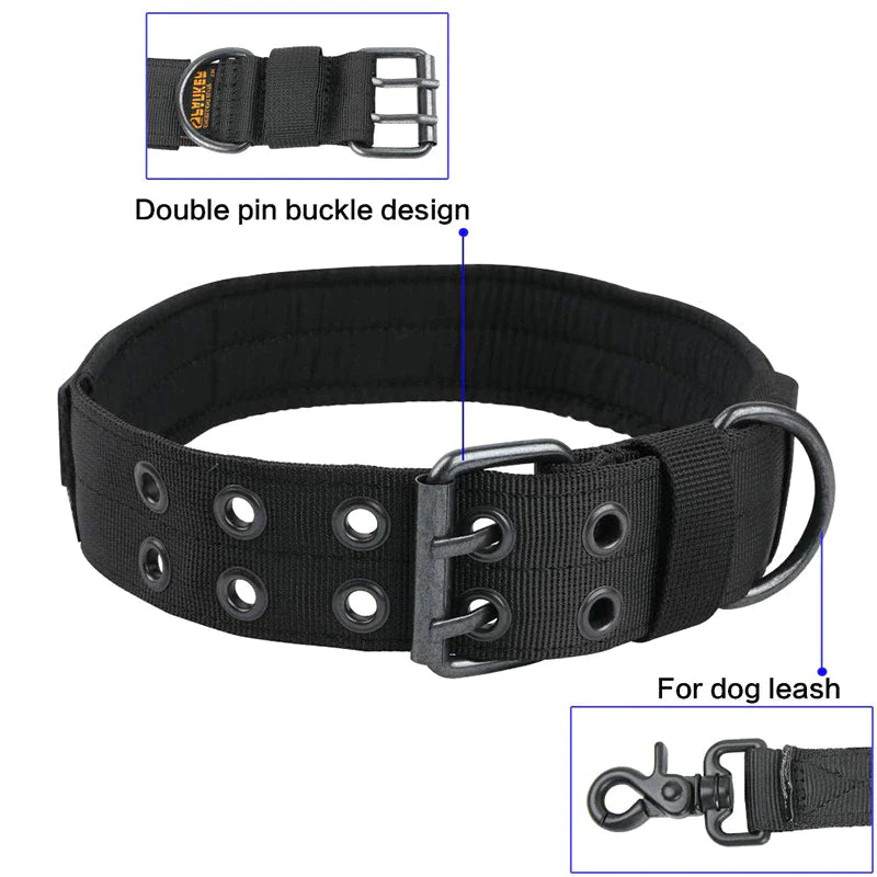 Wide Nylon Dog Collar with Metal Buckle – Neoprene Lined