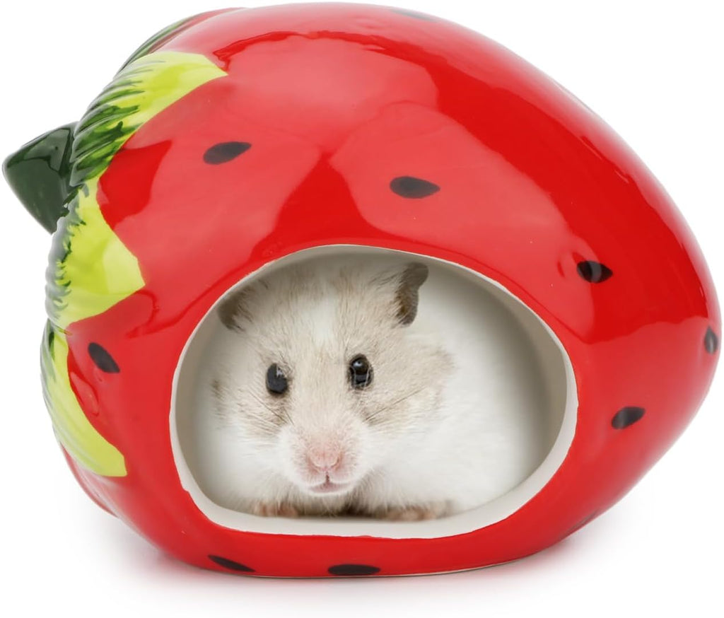 Ceramic Hamster Hideout House – Red Strawberry