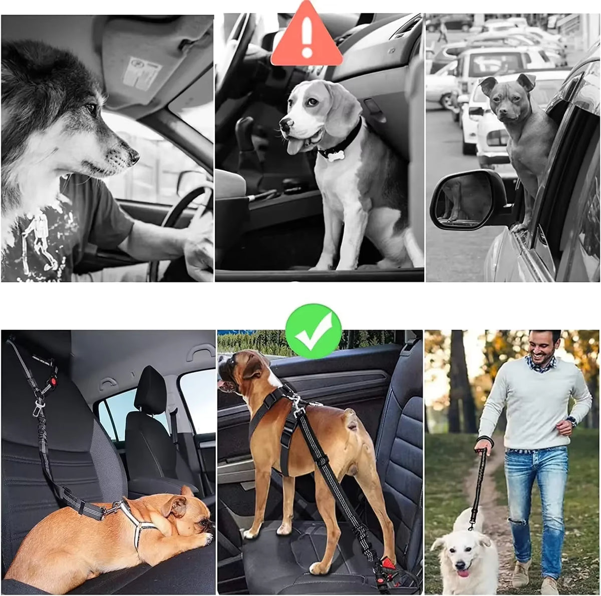 Dog car seat belt – photo 6