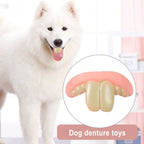 Funny dog teeth toy – photo 5