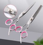 Stainless Steel Pet Grooming Scissors Set