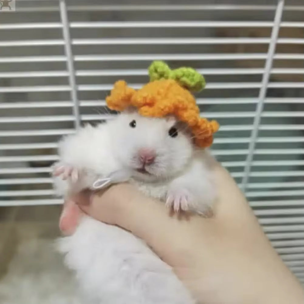 Mini knitted pet hat – photo 13
