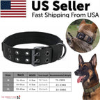 Wide Nylon Dog Collar with Metal Buckle – Neoprene Lined