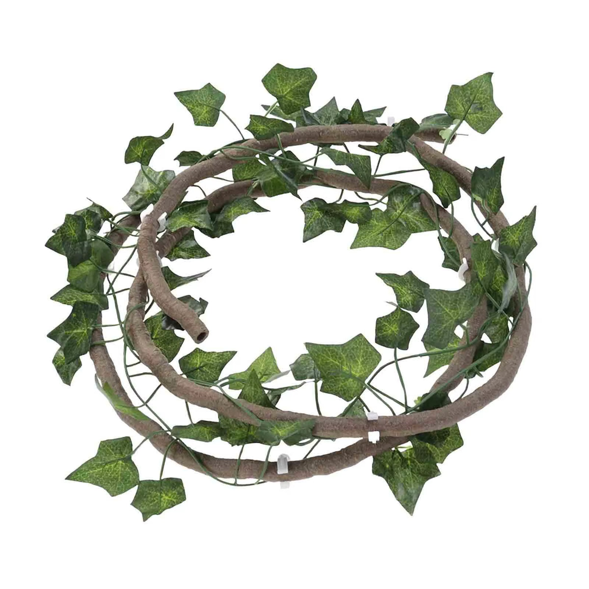 Reptile terrarium vines – photo 9